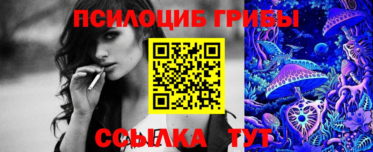 Улан-Удэ  Псилоцибиновые грибы MAGIC MUSHROOMS  Вход с VPN 